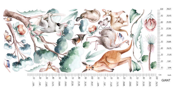 Watercolor Australian Animals Wall Decal Koala Kangaroo Kookaburra Nursery Outback Room Stickers