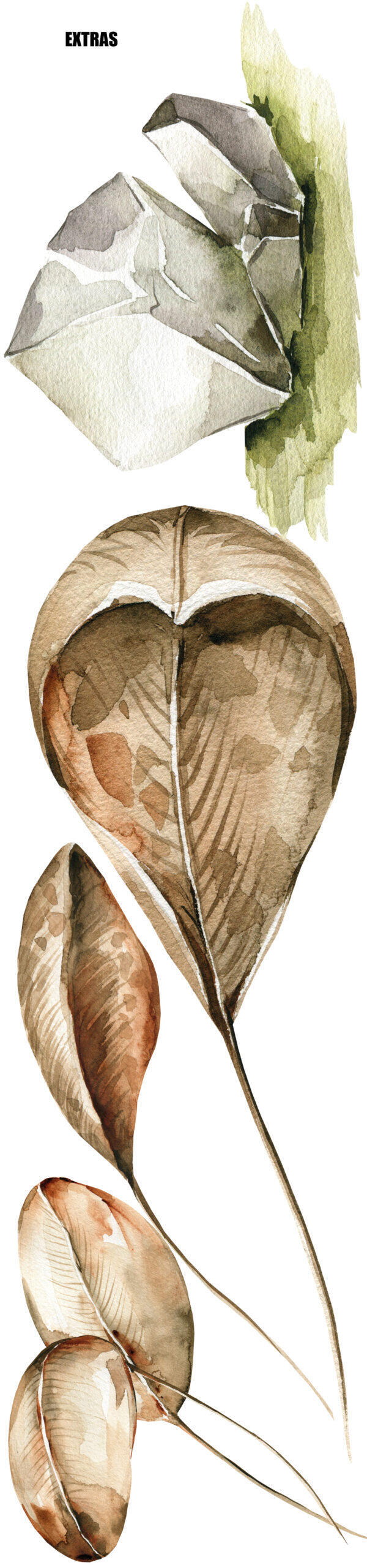 Tyrannosaurus Rex Wall Decal | Dinosaur Wall Art for Kids