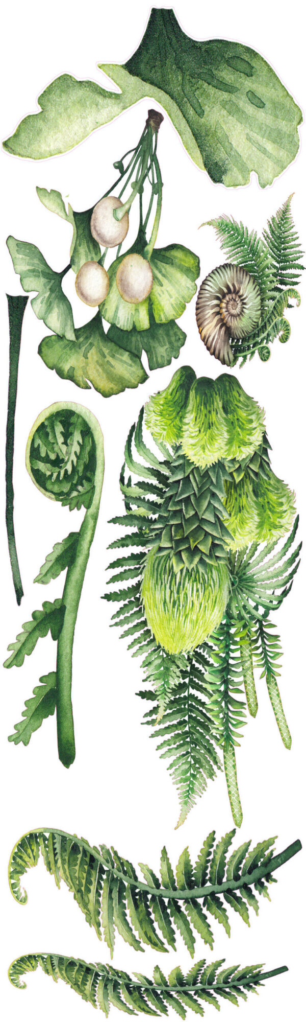 Dinosaurs Wall Stickers for Kids – Removable Wall Decals