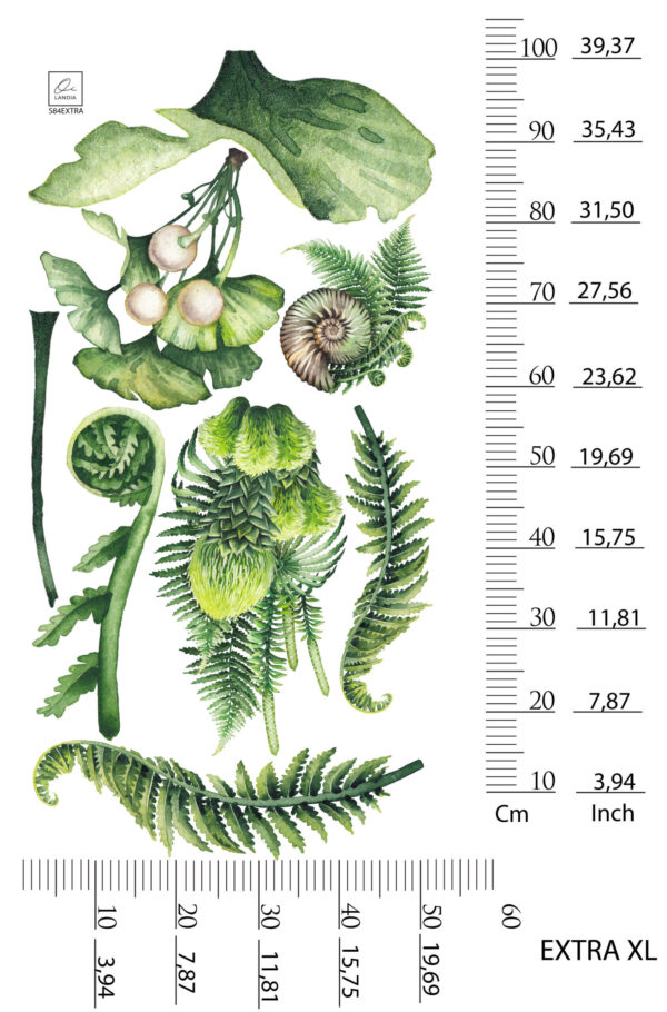 Dinosaurs Wall Stickers for Kids – Removable Wall Decals