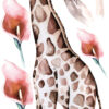 Watercolor Safari Giraffe Wall Decals Pink Flamingos Tropical Nursery Jungle Animal Stickers