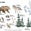 Complete Woodland Forest Wall Decal Watercolor Animals Nursery Stickers Nature Room Decor