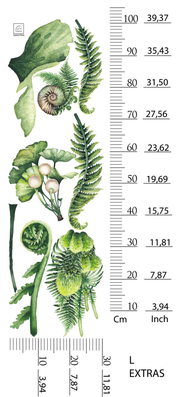 Dinosaurs Wall Stickers for Kids – Removable Wall Decals