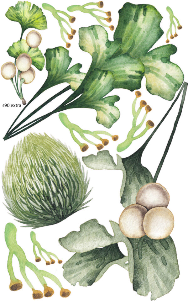 Dinosaurs Wall Sticker – Prehistoric Fun Removable Wall Decal for Kids