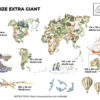 Animals World Map Wall Decal for Kids Room | Educational World Map Wall Sticker | Oilandia