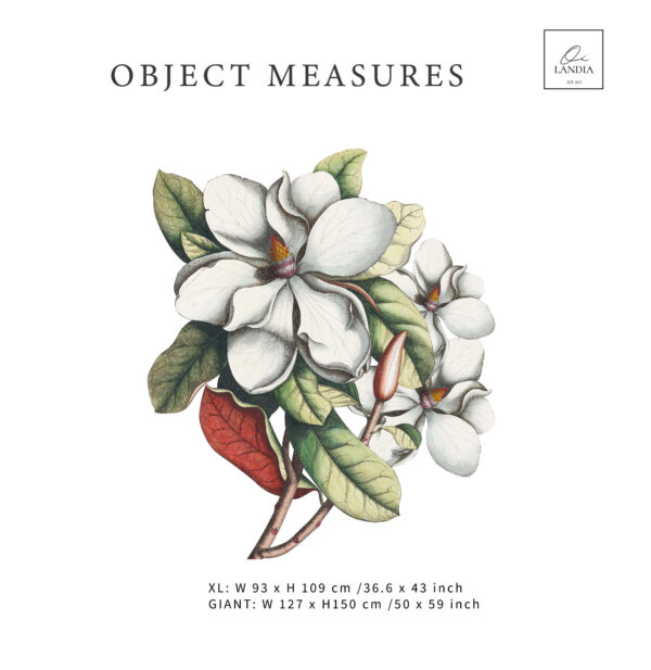 Vintage MAGNOLIA Wall Decal | Business interior FLOWER Wall Decal