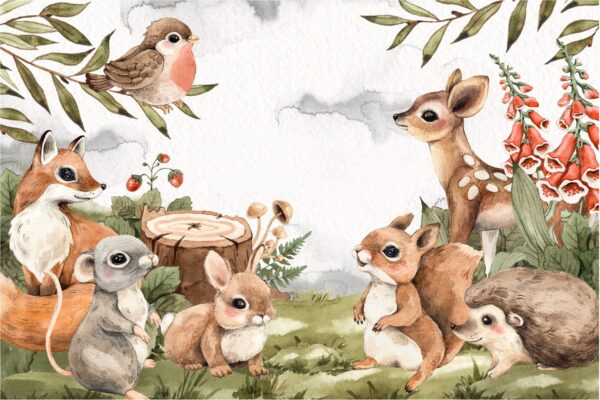 Forest Animals Wallpaper for Kids:  Kids Room Wall Mural