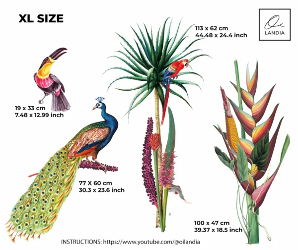 Watercolor Peacock & Parrot Wall Decals | Oilandia