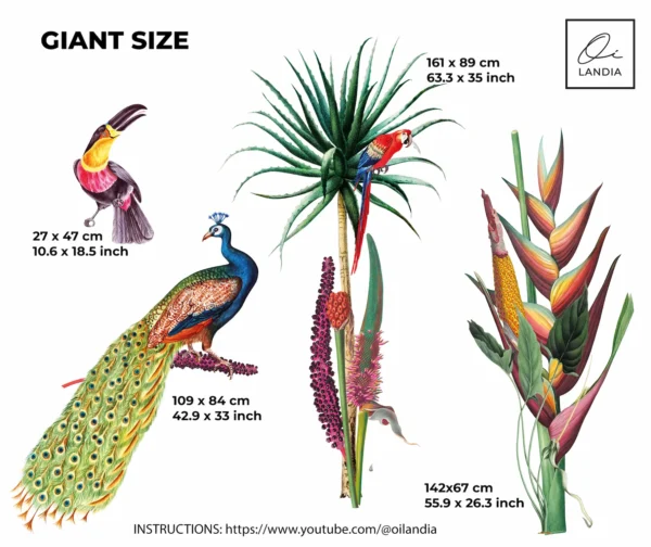 Watercolor Peacock & Parrot Wall Decals | Oilandia